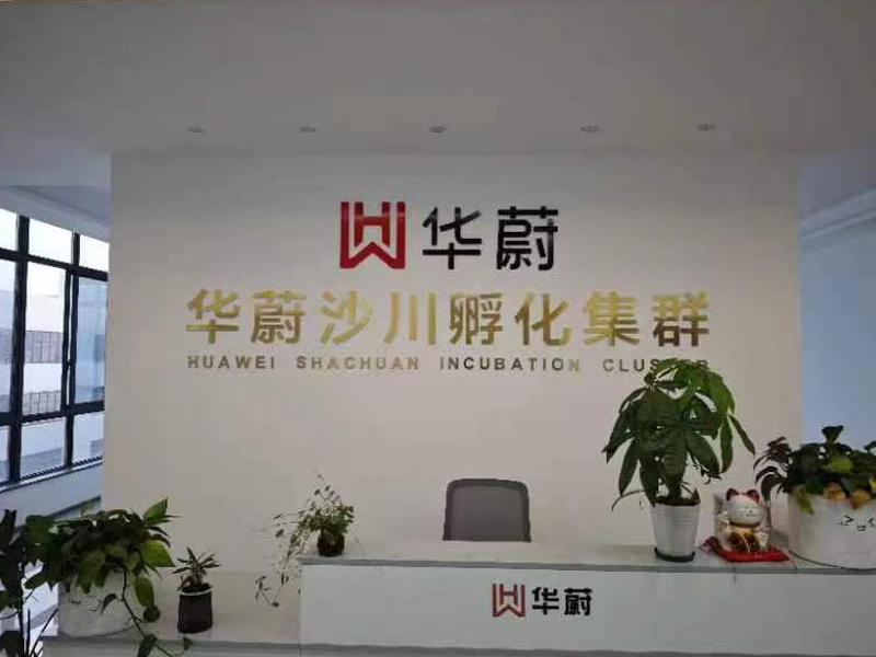 速搜蔚蓝孵化器封面图片